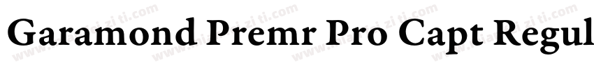 Garamond Premr Pro Capt Regular字体转换